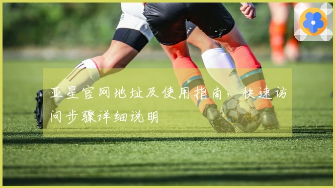 亚星官网地址及使用指南，快速访问步骤详细说明