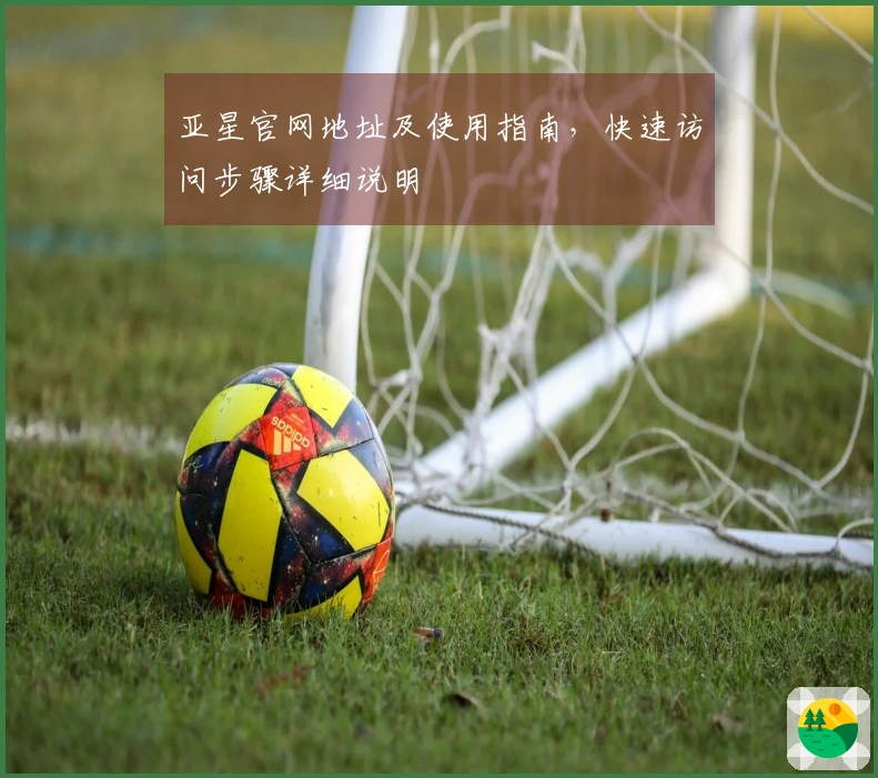 亚星官网地址及使用指南，快速访问步骤详细说明