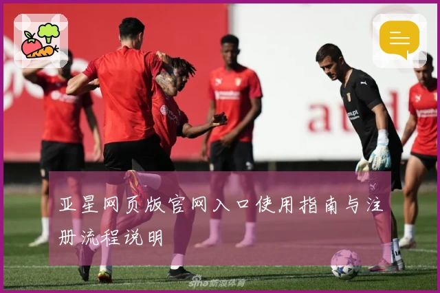 亚星网页版官网入口使用指南与注册流程说明