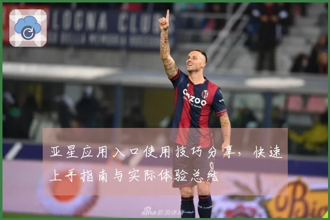 亚星应用入口使用技巧分享，快速上手指南与实际体验总结