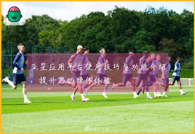 亚星应用平台使用技巧与功能介绍，提升您的操作体验