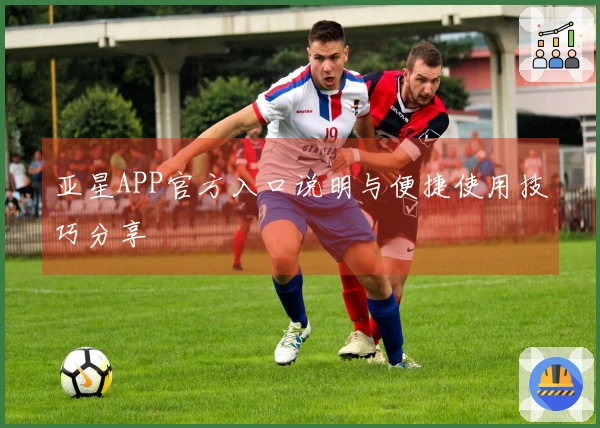 亚星APP官方入口说明与便捷使用技巧分享