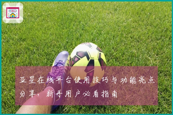 亚星在线平台使用技巧与功能亮点分享，新手用户必看指南